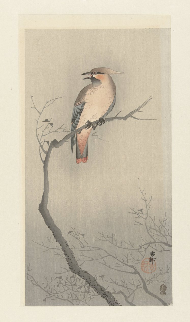 Uccello giapponese su ramo da Ohara Koson