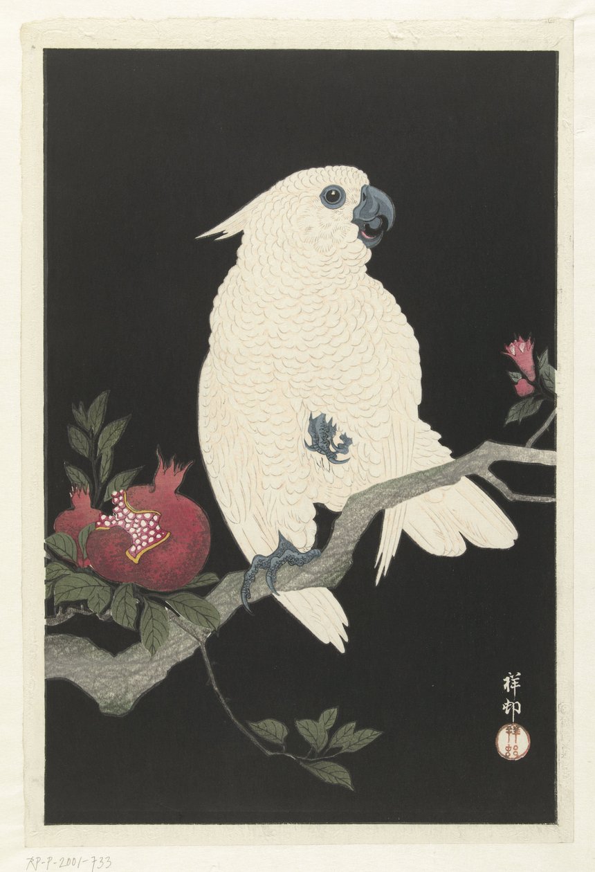 Cacatua e melograno da Ohara Koson