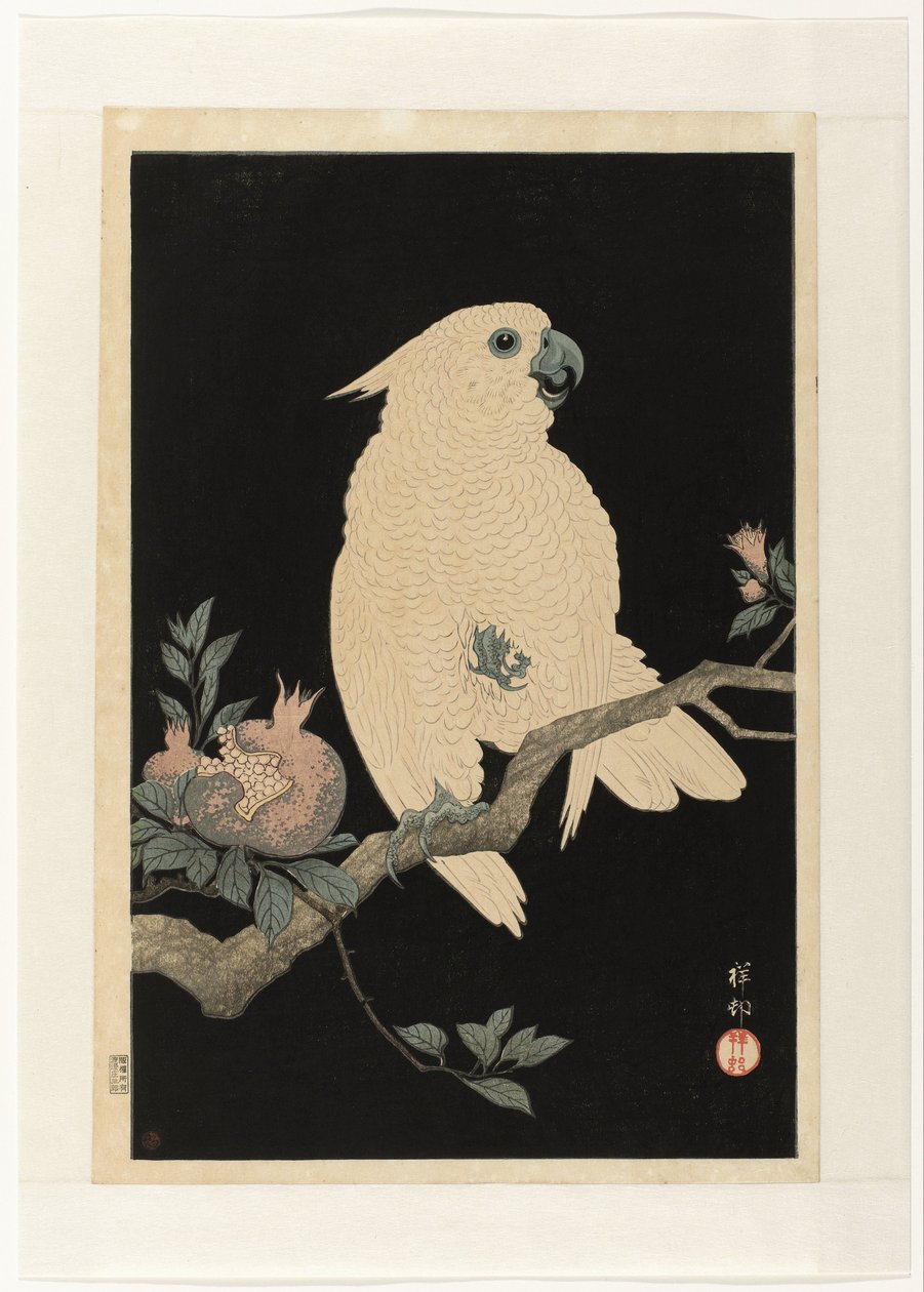 Cacatua con melograno da Ohara Koson