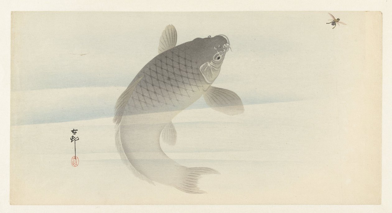 Carpa e mosca da Ohara Koson