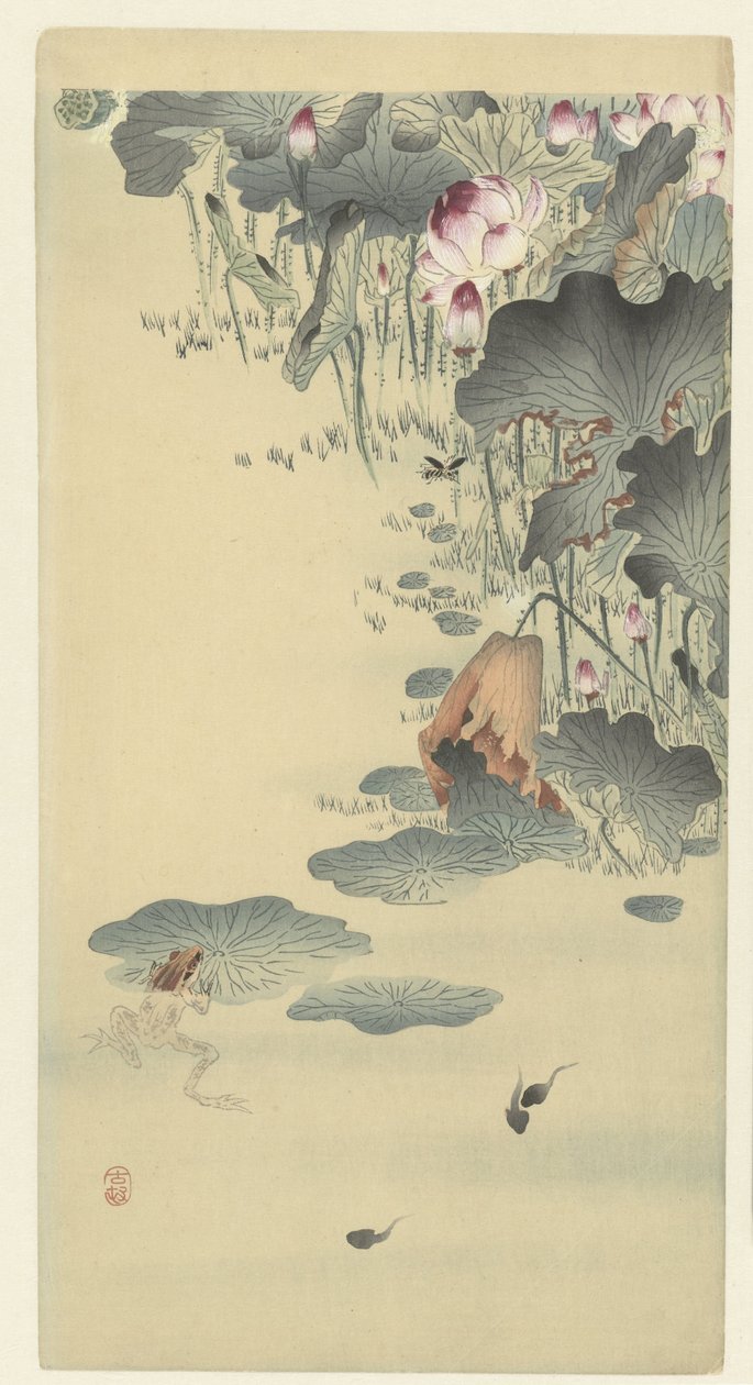 Rana e girini da Ohara Koson
