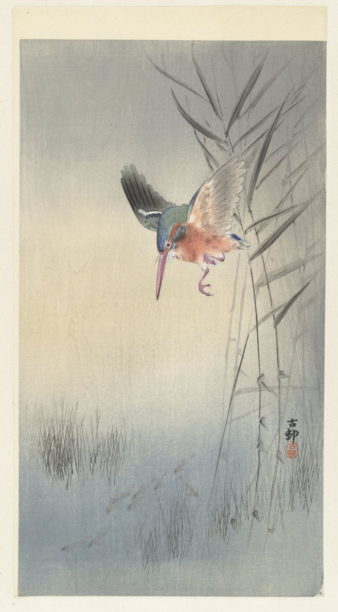 Martin pescatore che caccia pesci da Ohara Koson