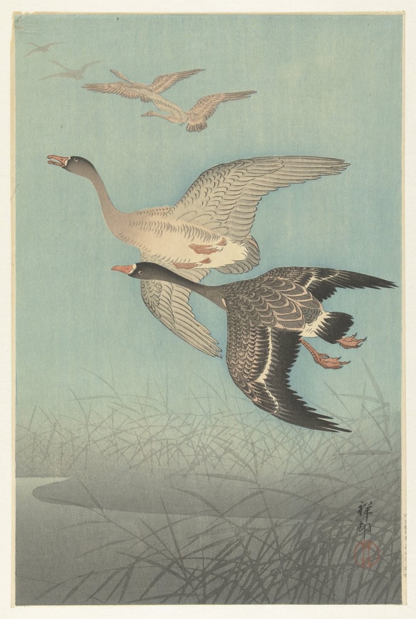 Oche selvatiche in volo da Ohara Koson