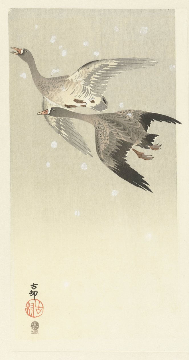 Oche selvatiche che volano nella neve da Ohara Koson