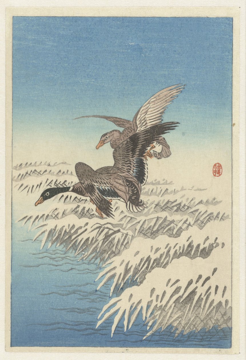 Coppia di anatre che volano sopra una canna innevata da Ohara Koson