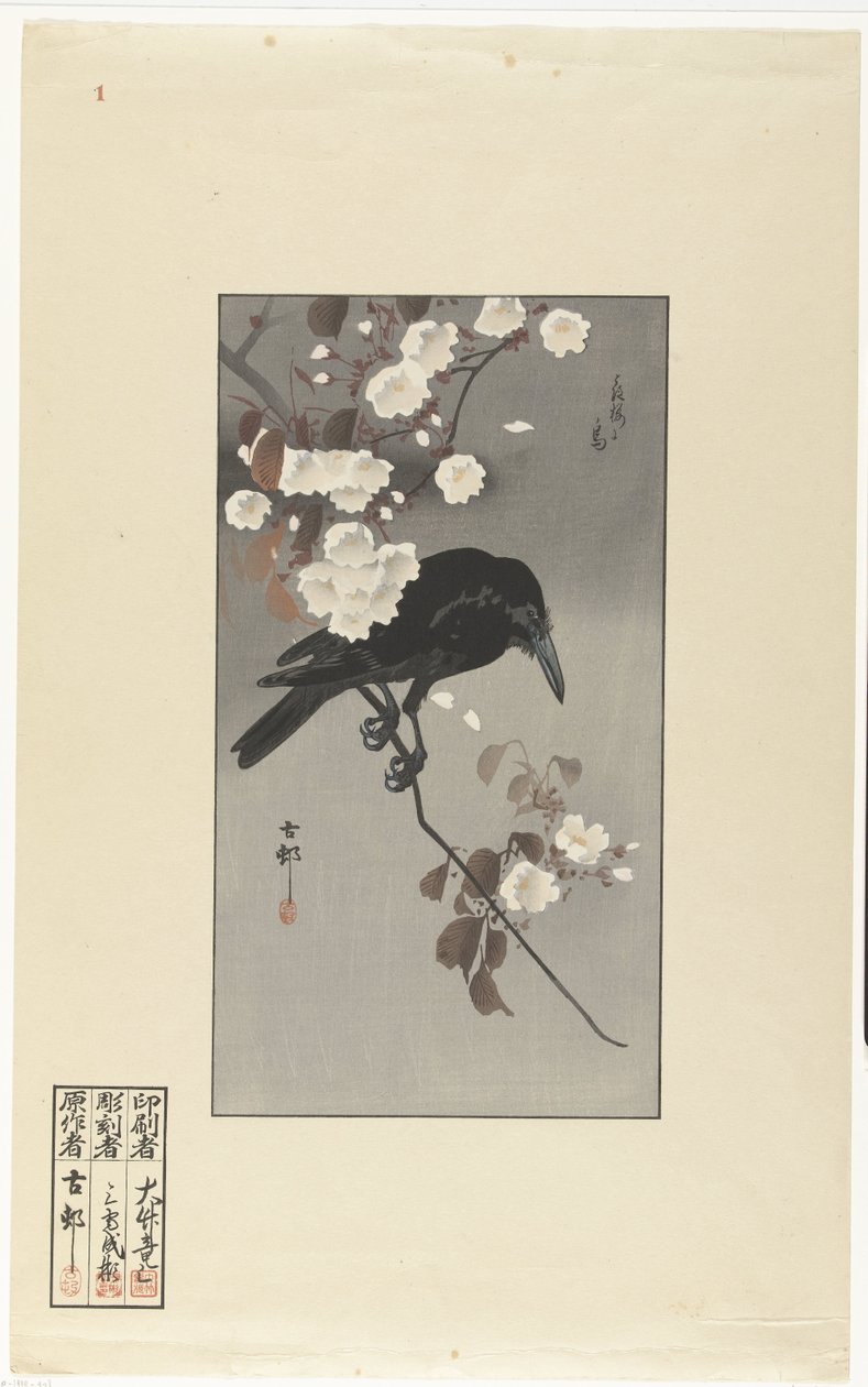 Corvo e fiori di ciliegio da Ohara Koson