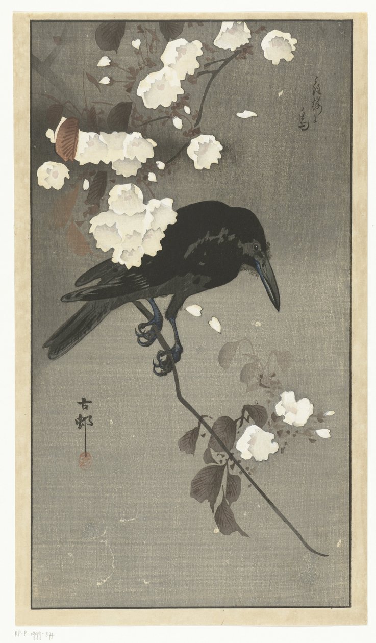 Corvo con fiori di ciliegio da Ohara Koson