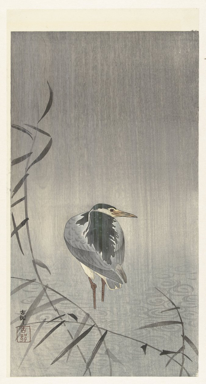 Anatra sotto la pioggia da Ohara Koson