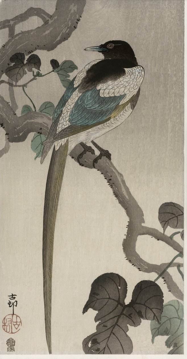 Gazza su un ramo di Pauwolna da Ohara Koson