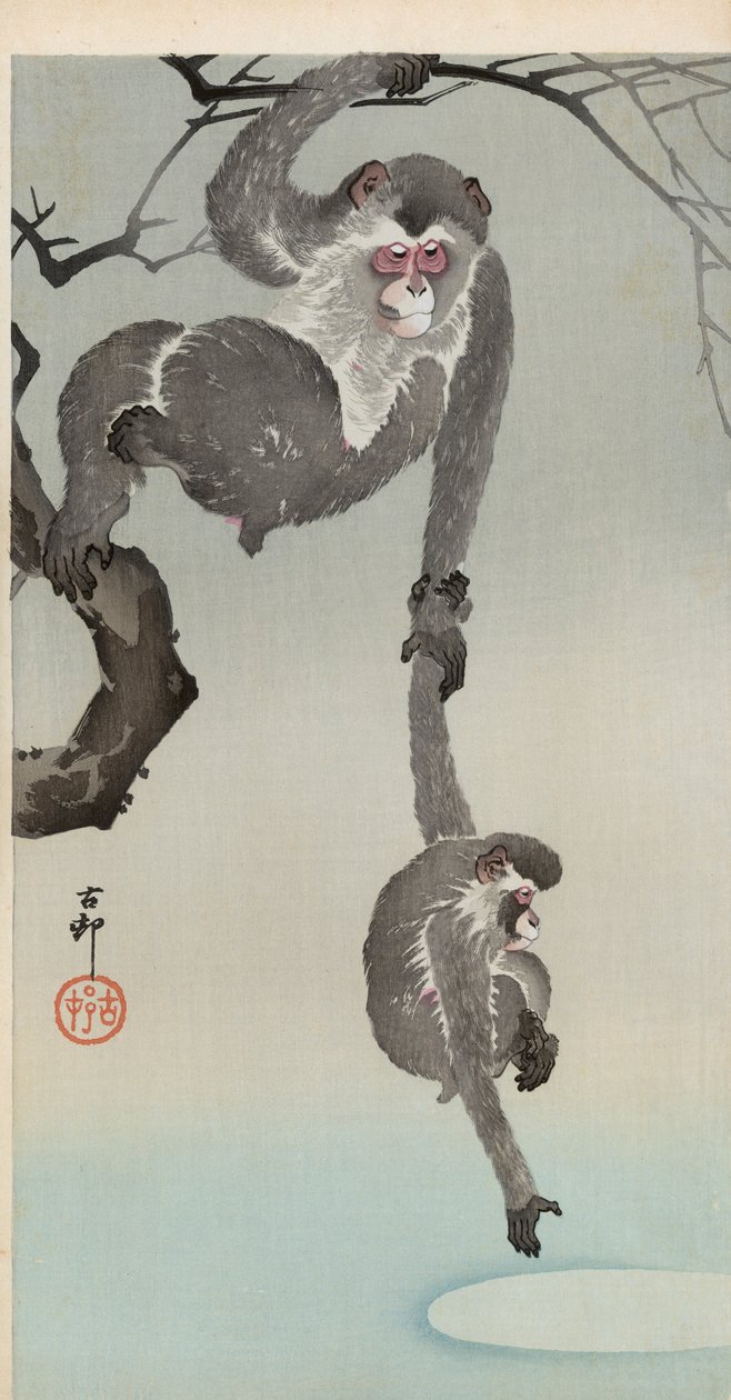 Scimmia e cucciolo che cercano di afferrare il riflesso della luna da Ohara Koson