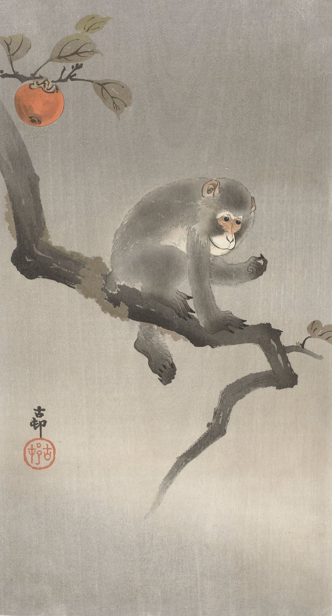 Scimmia su un albero da frutto da Ohara Koson