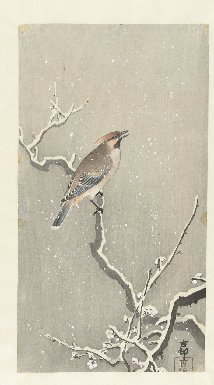Beccofrusone su un ramo innevato da Ohara Koson