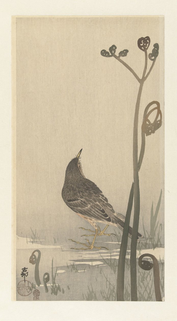 Pispola sulla riva da Ohara Koson
