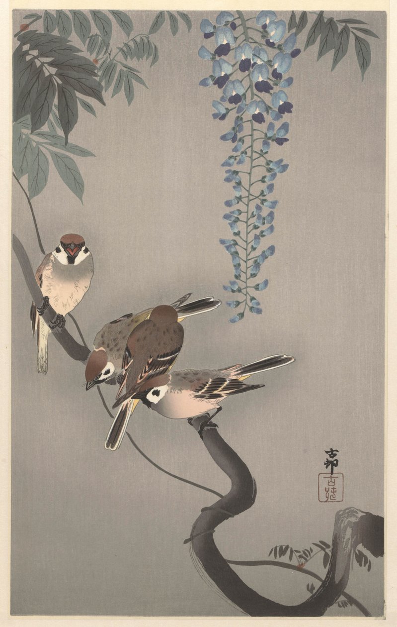 Passeri ad anello presso glicine da Ohara Koson
