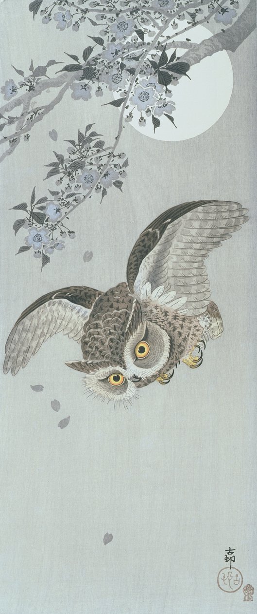 Gufo in volo con fiori e luna piena (stampa a blocchi di legno a colori) da Ohara Koson