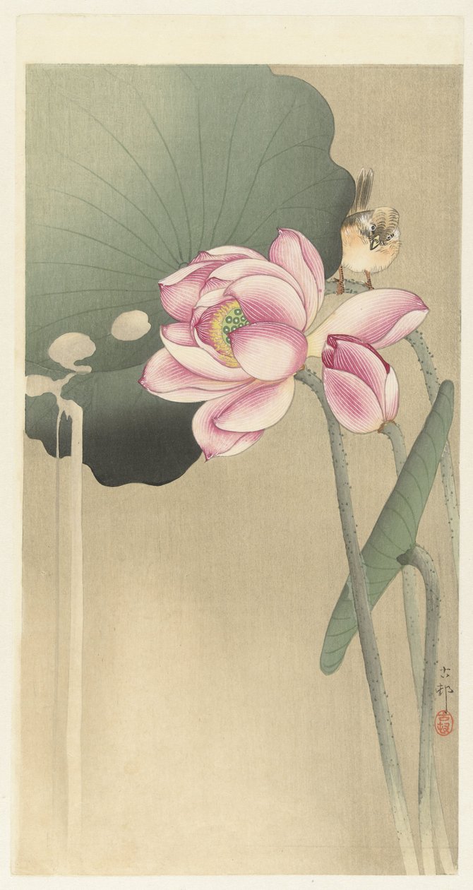 Uccello canoro e loto da Ohara Koson