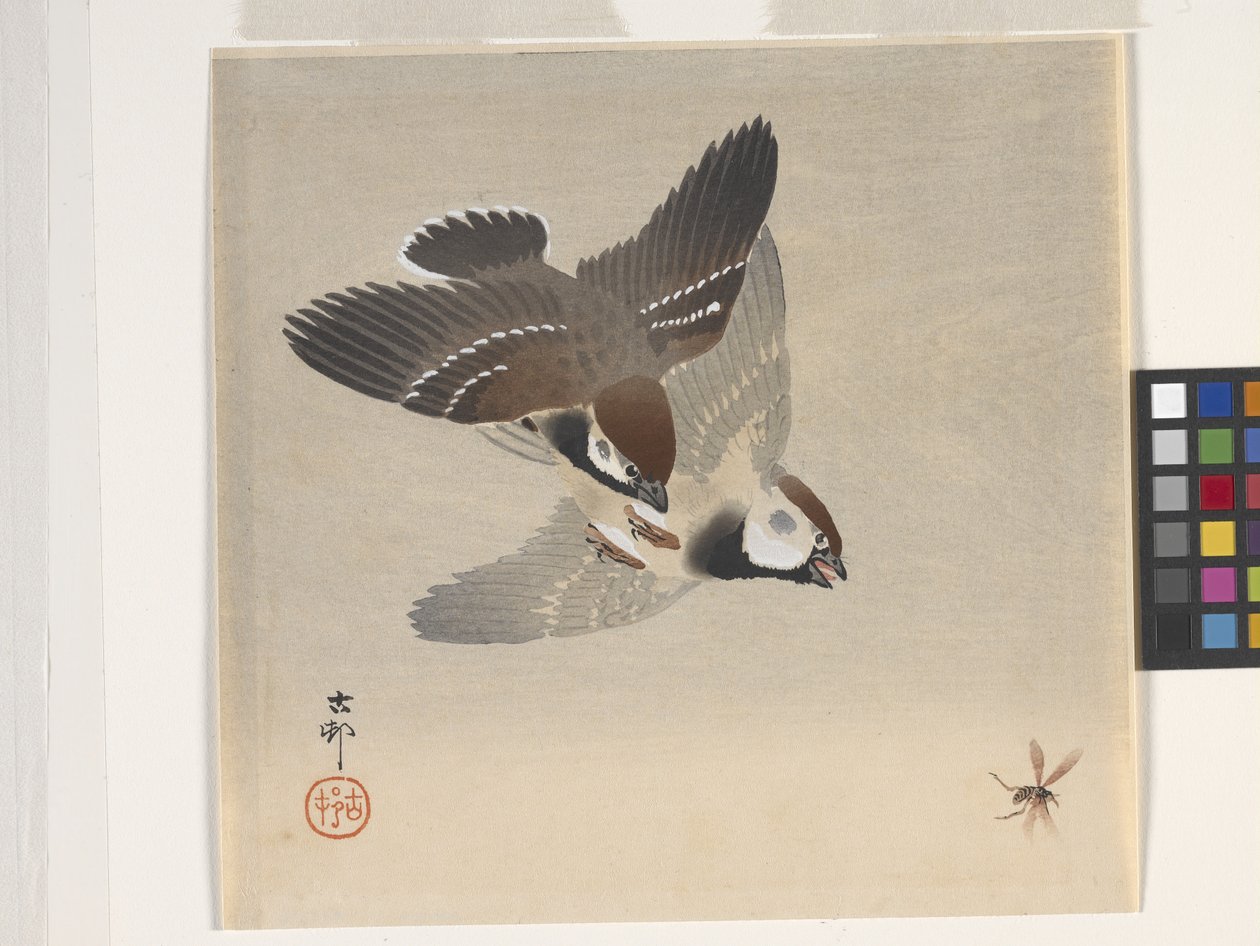Passeri che inseguono un insetto volante da Ohara Koson
