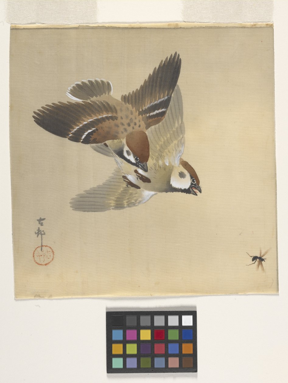 Passeri che inseguono insetti volanti da Ohara Koson