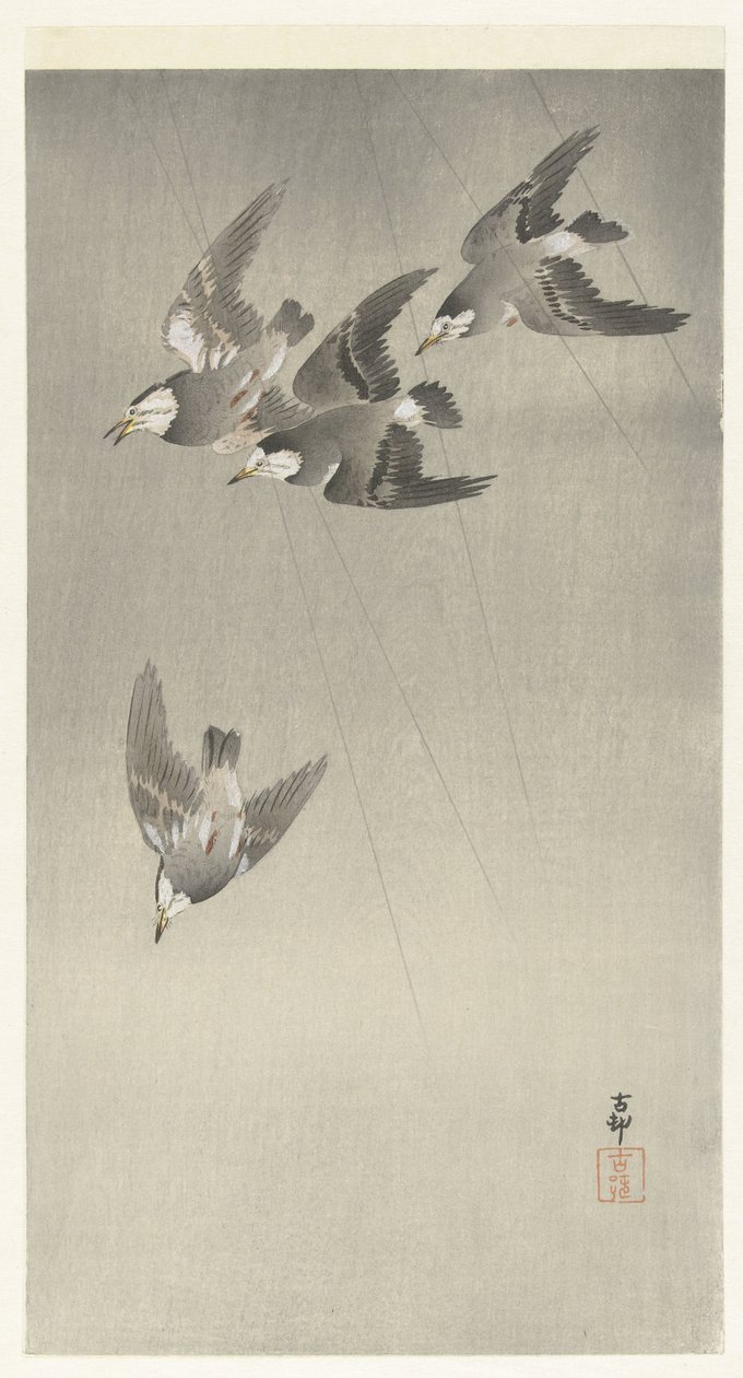 Storni nella pioggia da Ohara Koson