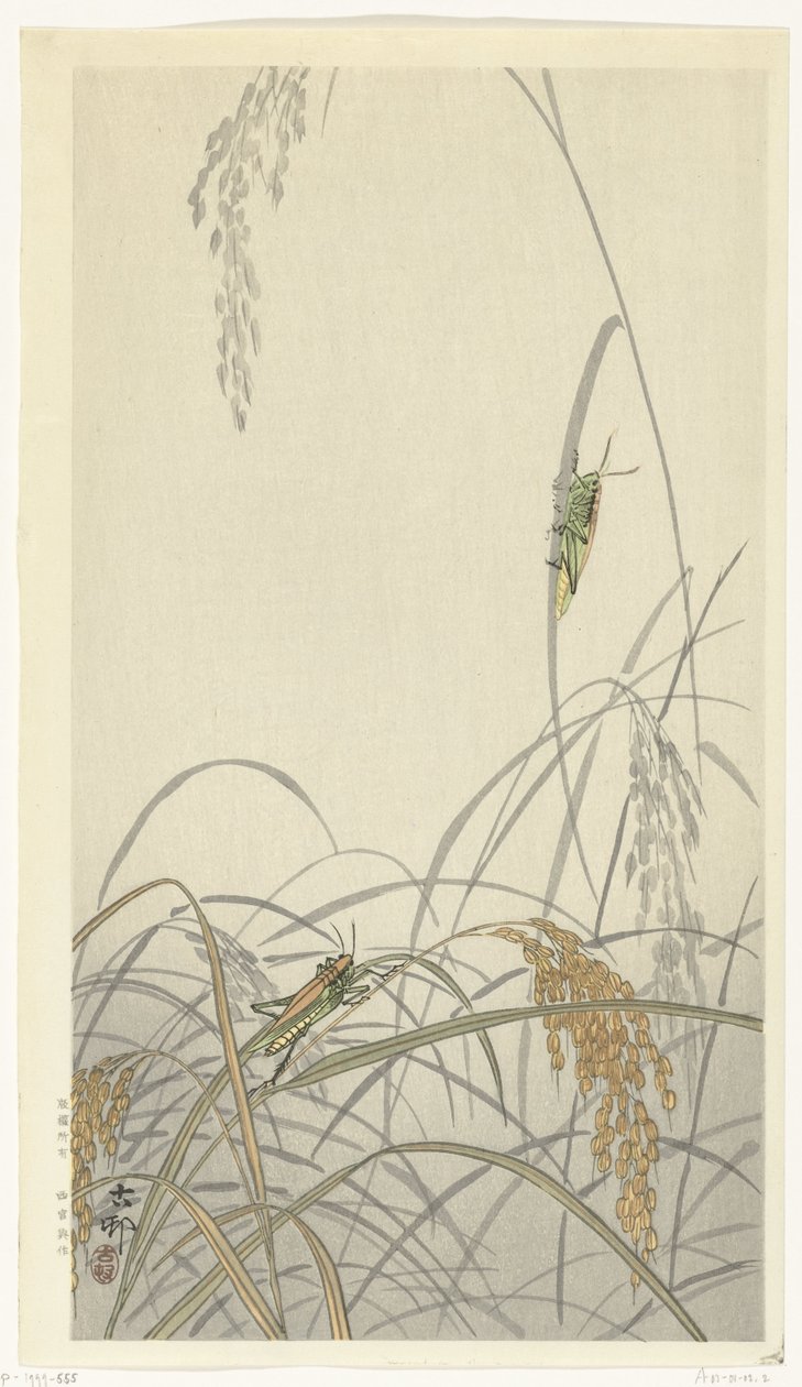 Cavallette su piante di riso da Ohara Koson
