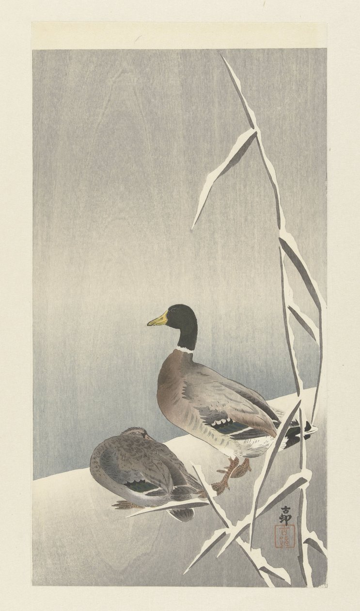 Due anatre su canne innevate da Ohara Koson