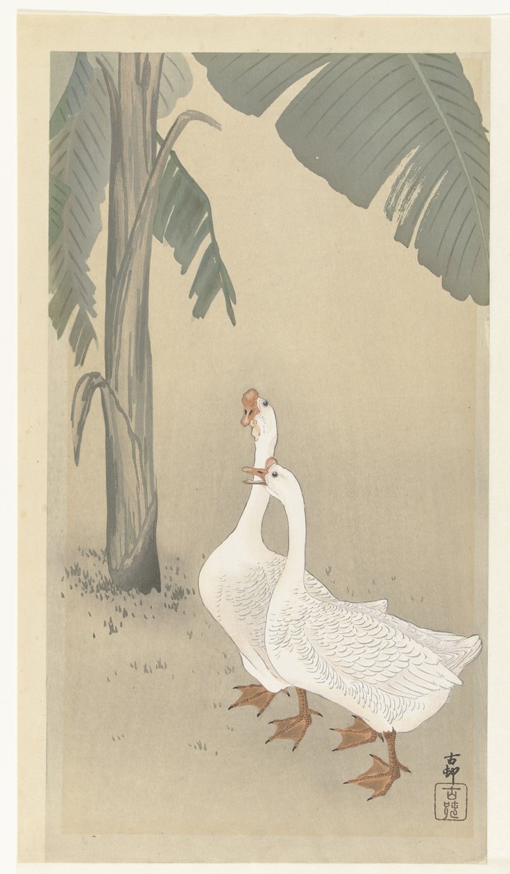 Due oche vicino a un banano da Ohara Koson