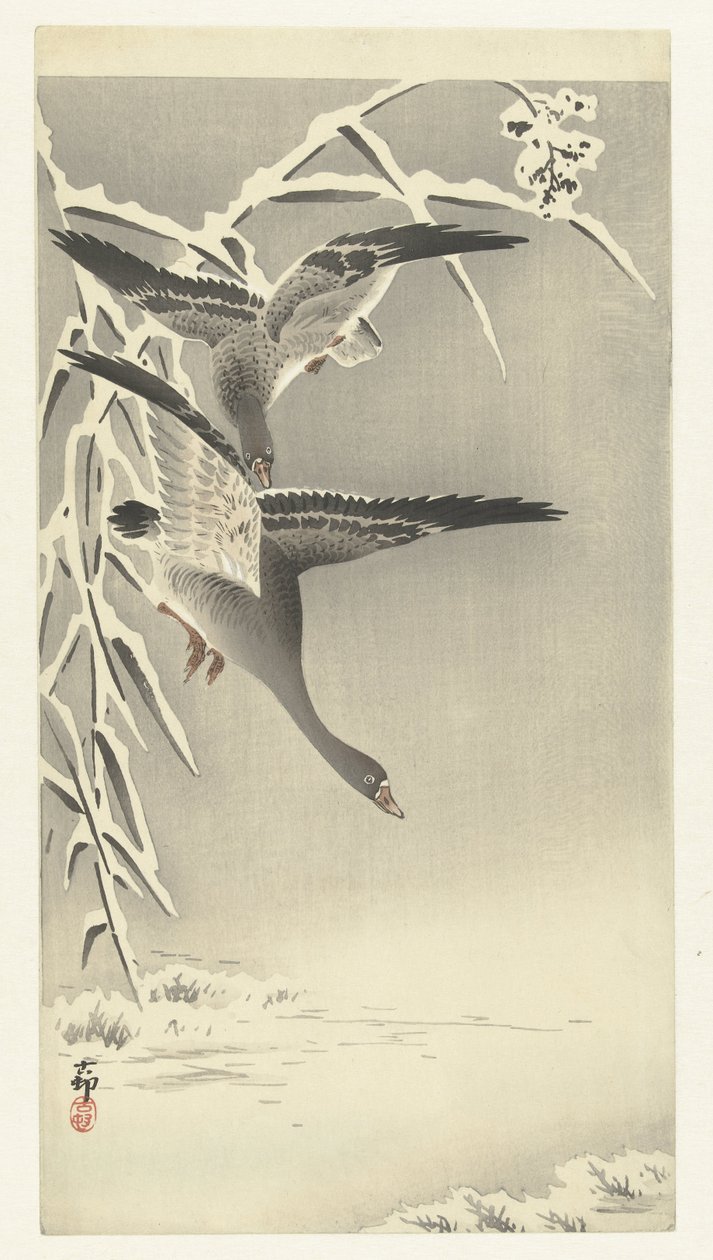 Due oche delle nevi in un paesaggio innevato da Ohara Koson