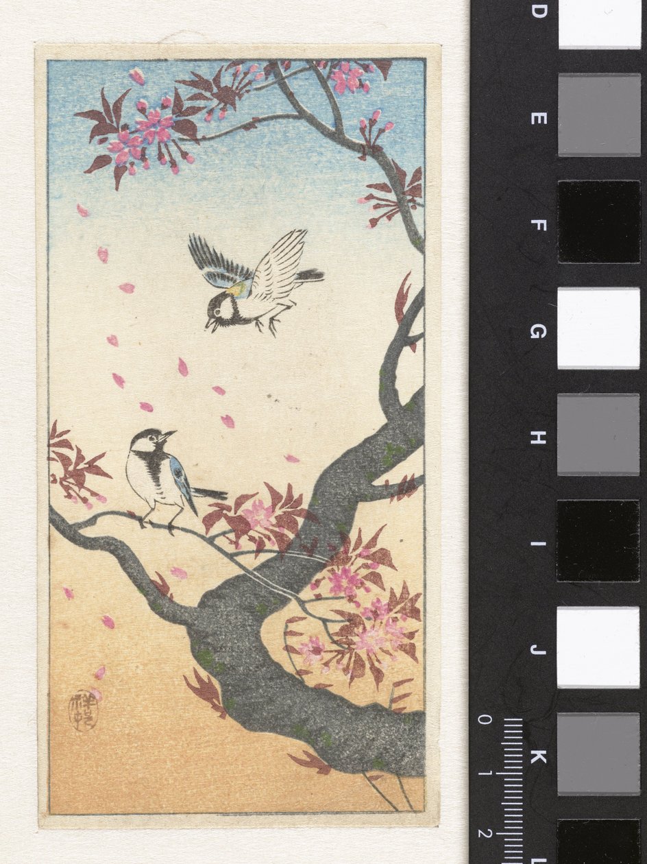 Due cince su un albero in fiore da Ohara Koson