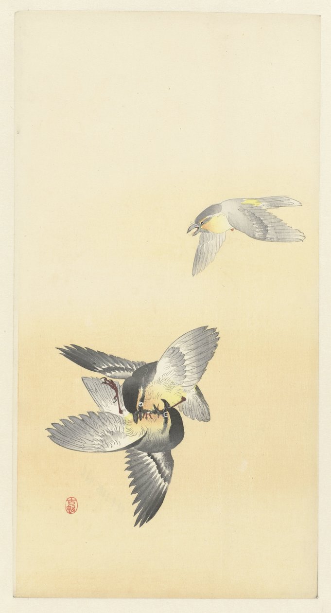 Due uccelli che combattono da Ohara Koson