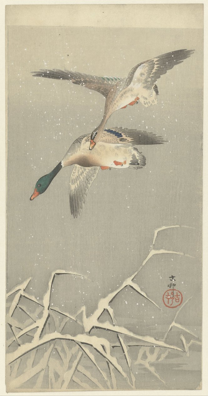 Due anatre selvatiche in volo da Ohara Koson
