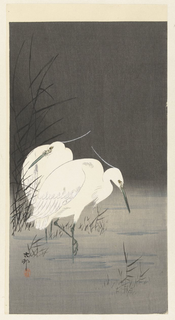 Due aironi argentati tra le canne da Ohara Koson