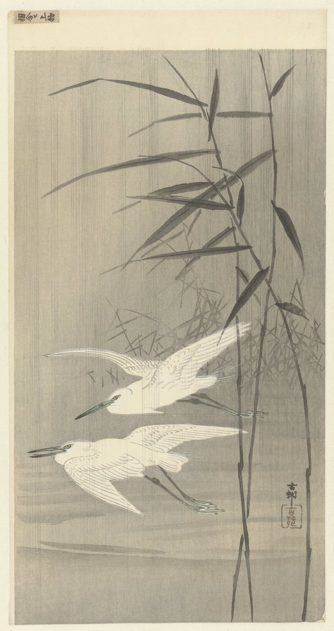 Due aironi argentati in volo da Ohara Koson