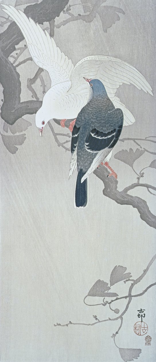 Due colombe sotto la pioggia su un ramo di un albero di Ginko da Ohara Koson