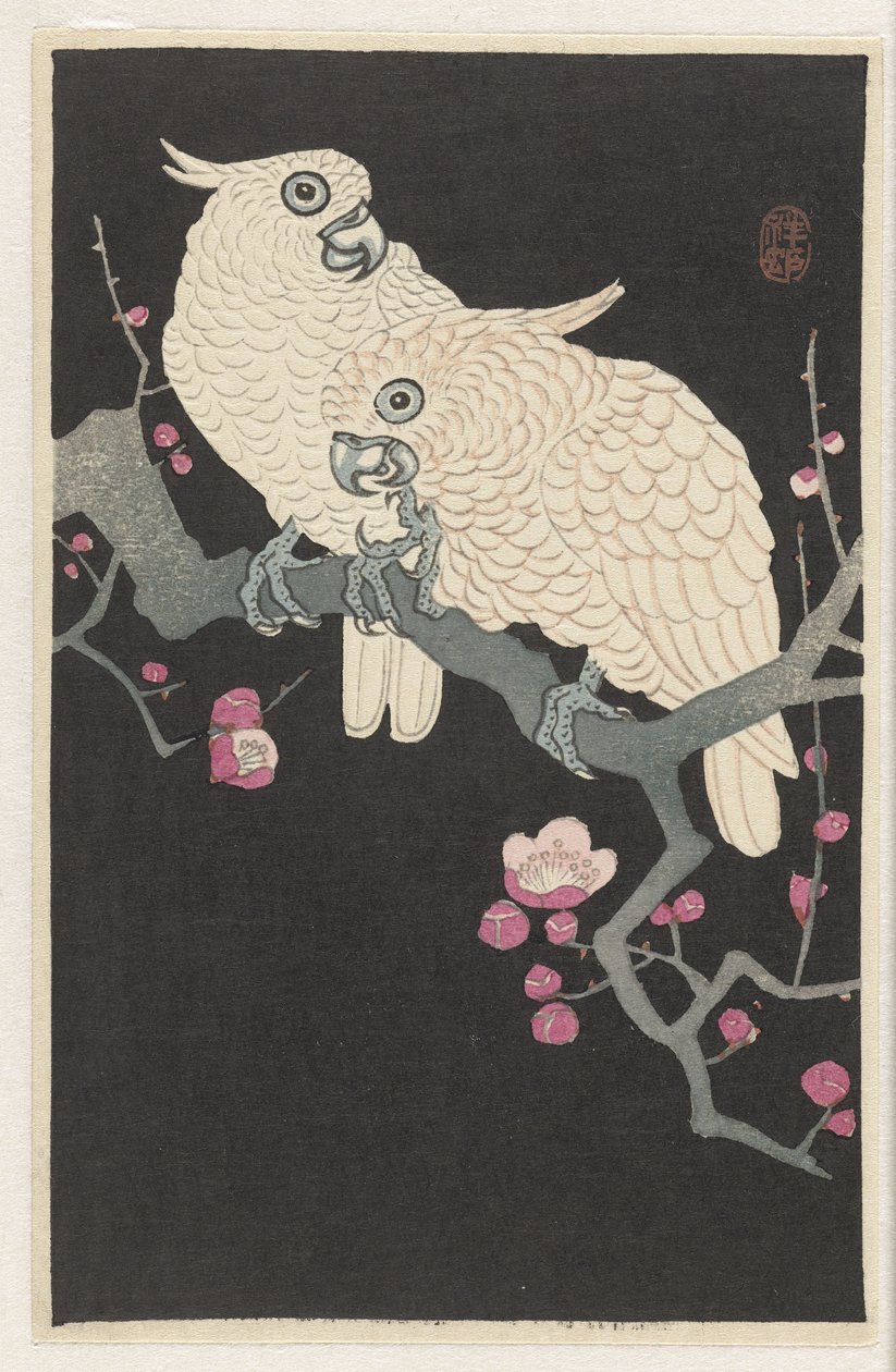 Due cacatua e fiori di pruno da Ohara Koson
