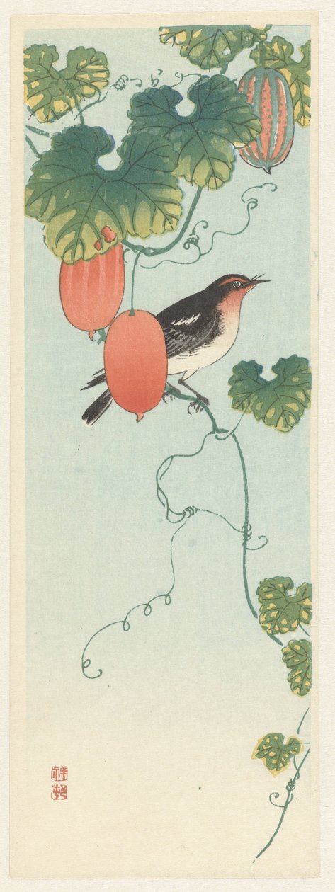 Uccello canoro in una pianta di cetriolo da Ohara Koson