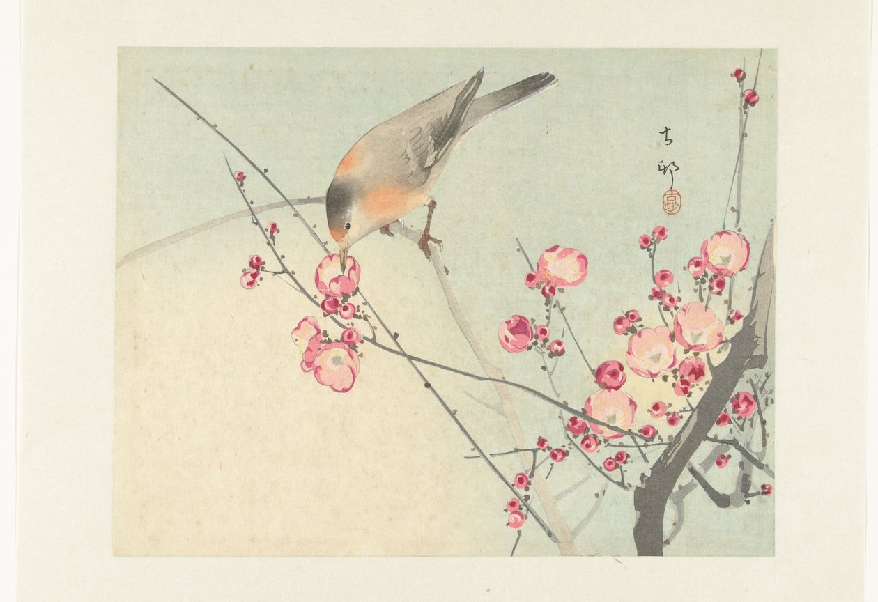 Uccello canoro su ramo fiorito da Ohara Koson