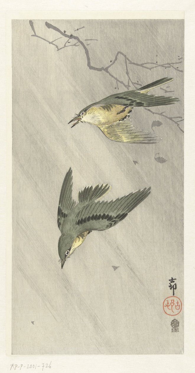 Uccelli canori sotto la pioggia da Ohara Koson