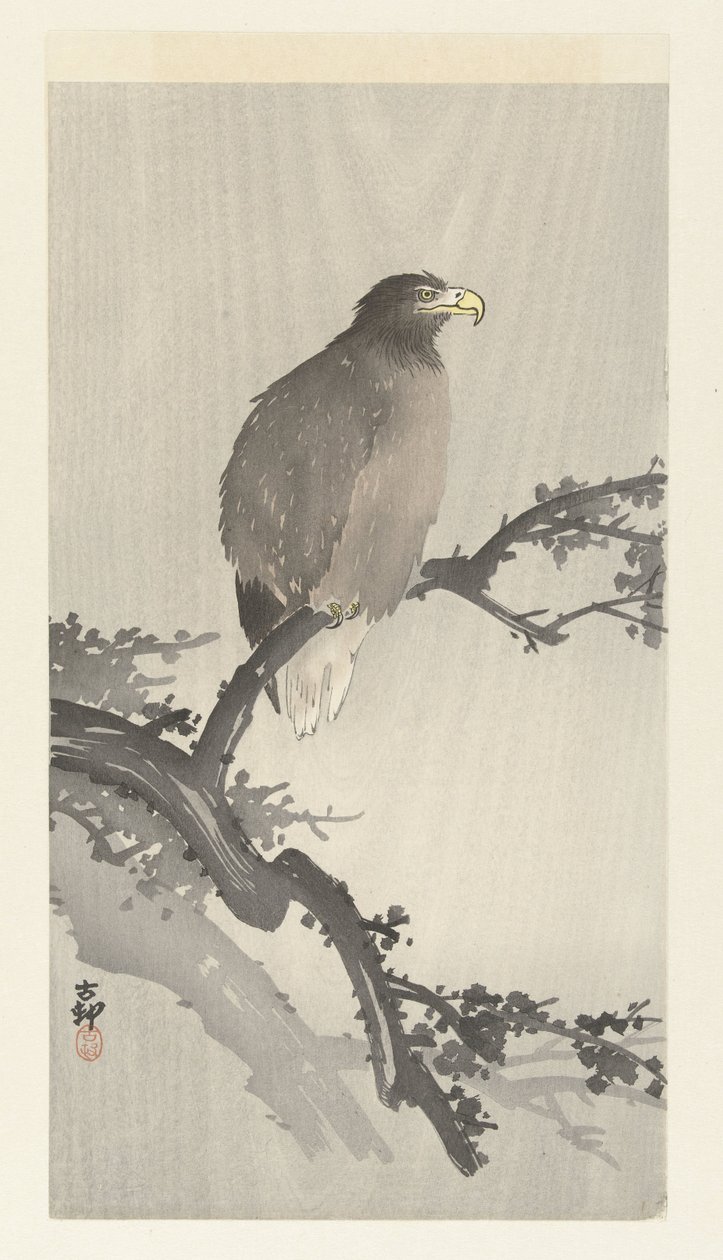 Aquila di mare su un ramo da Ohara Koson