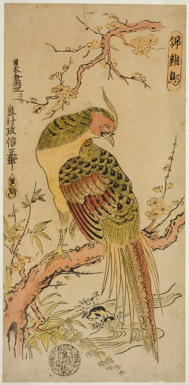 Fagiano dorato (Kinkeicho) da Okumura Masanobu