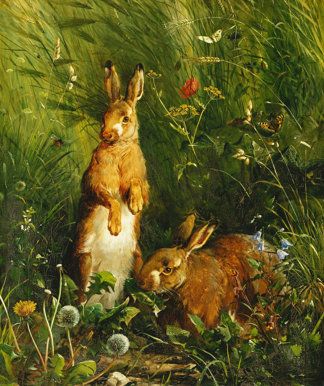 Lepri, 1878 da Olaf August Hermansen