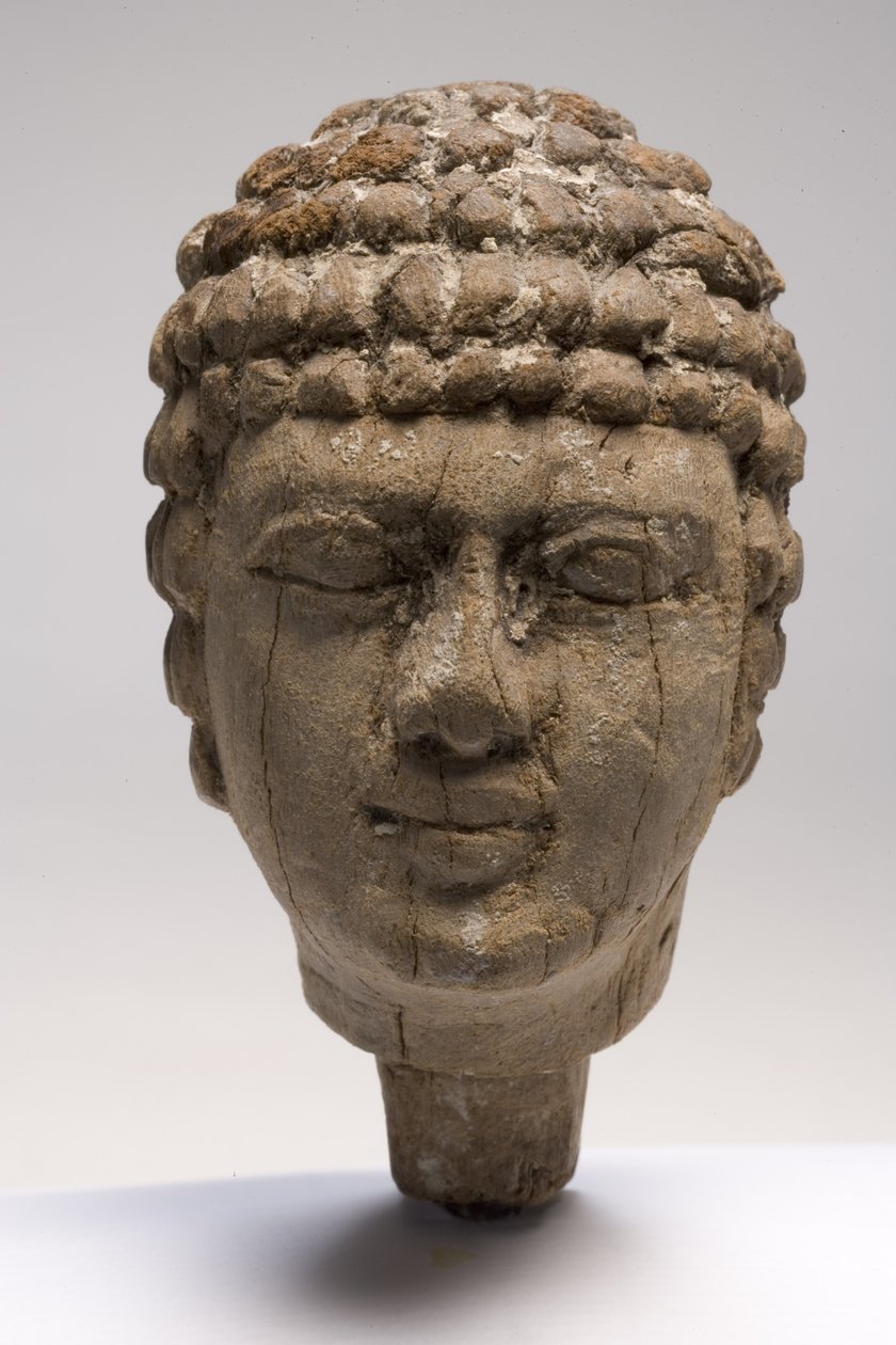 Testa di un uomo (legno) da Old Kingdom Egyptian