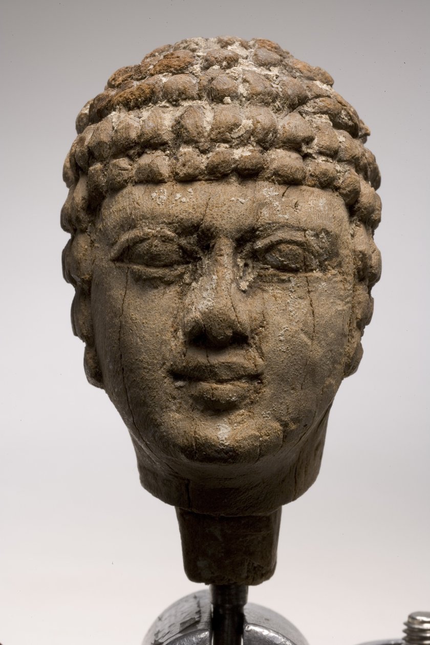 Testa di un uomo (legno) da Old Kingdom Egyptian