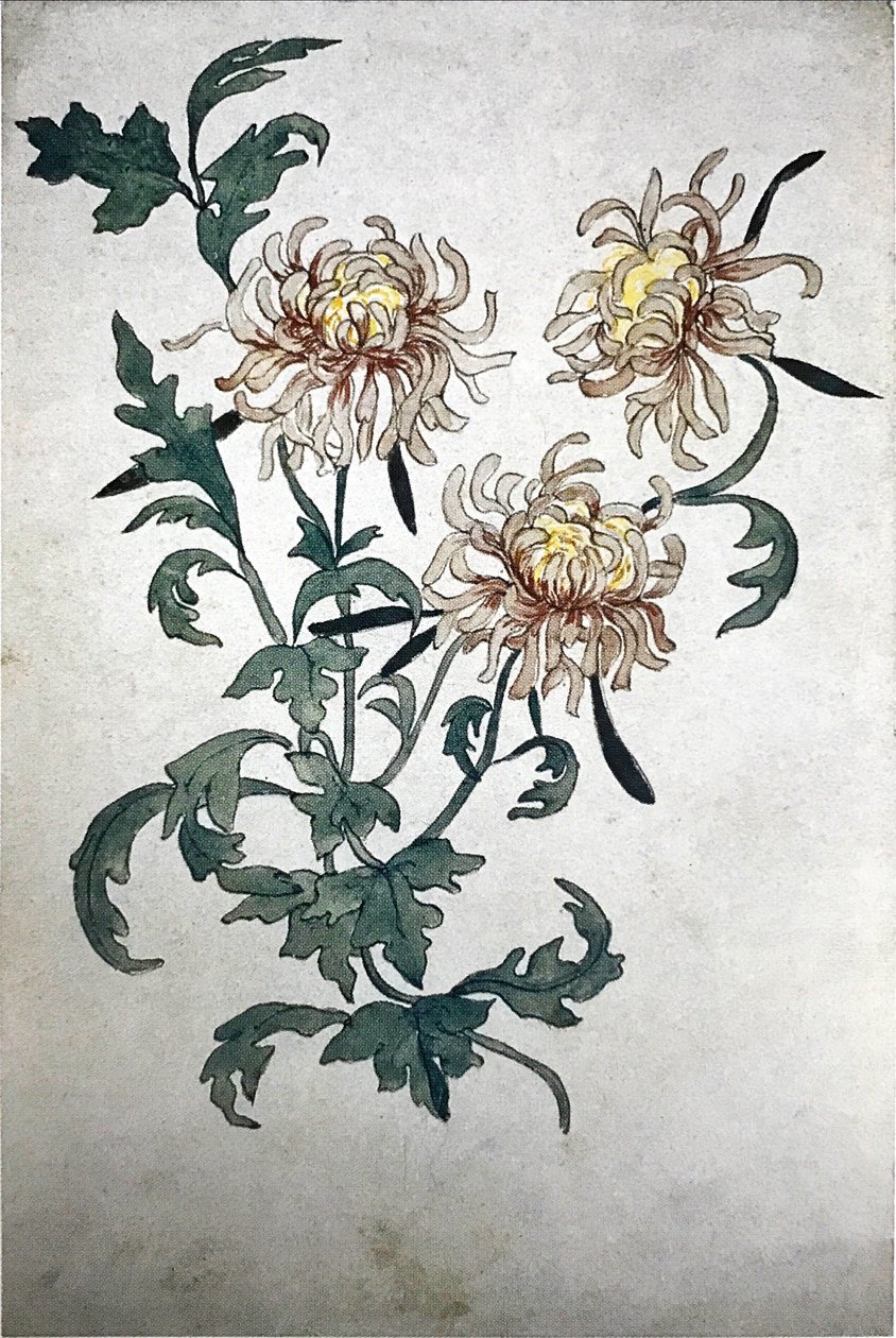 Fiori da Olga Rozanova