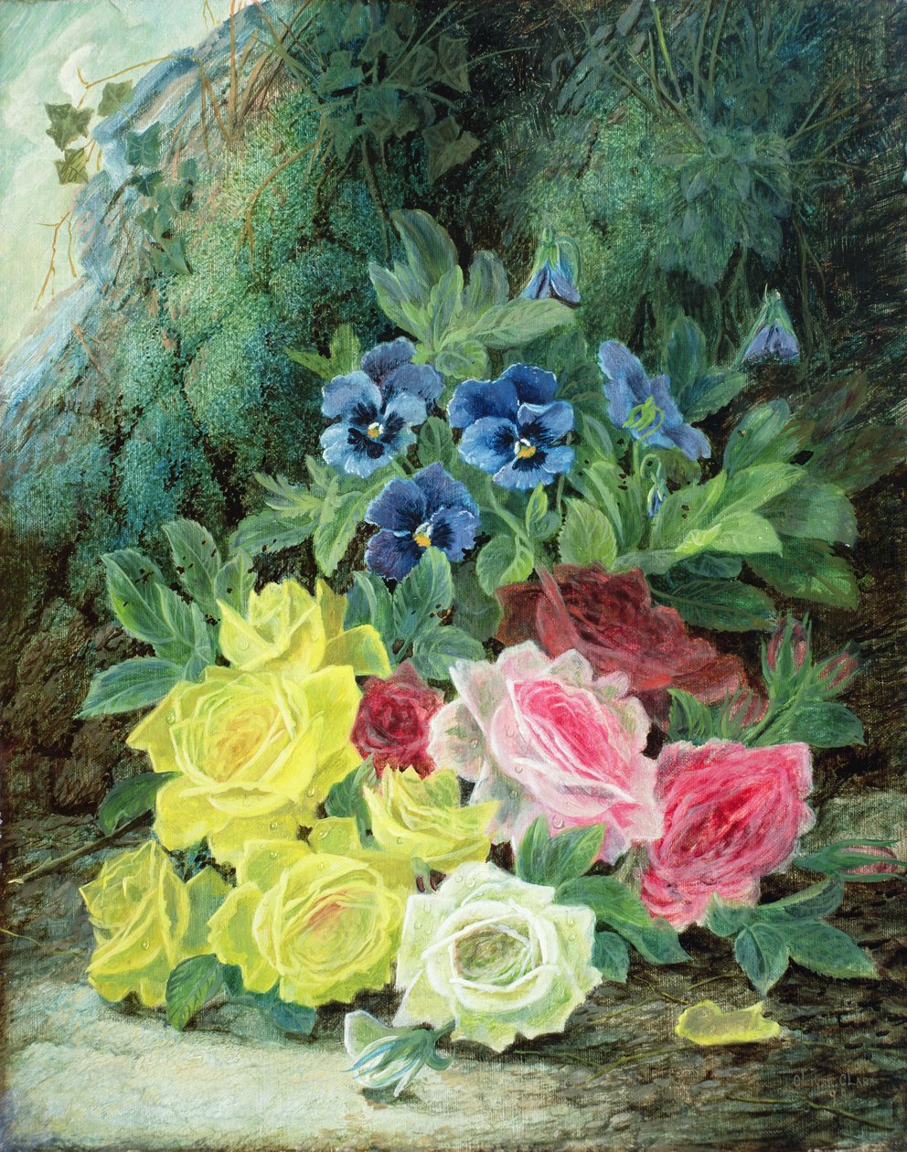 Rose da Oliver Clare