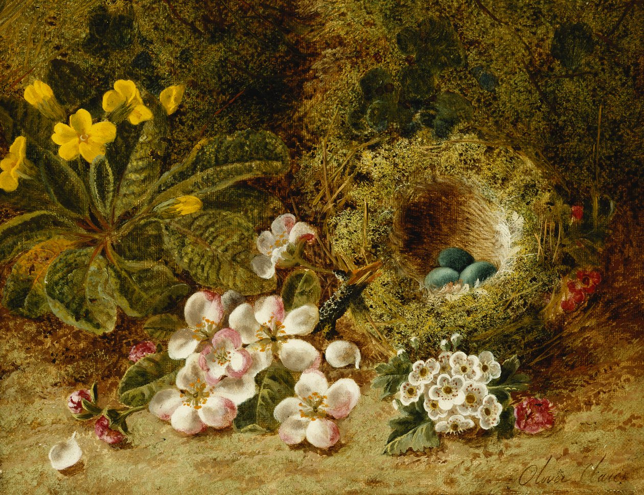 Fiori di Melo, una Primula e un Nido di Uccelli su una Riva Muschiosa da Oliver Clare
