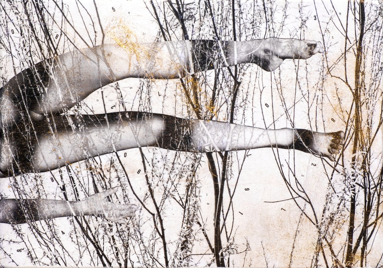 Gambe volanti, 2022 (tecnica mista su legno) da Olivia Gozzano