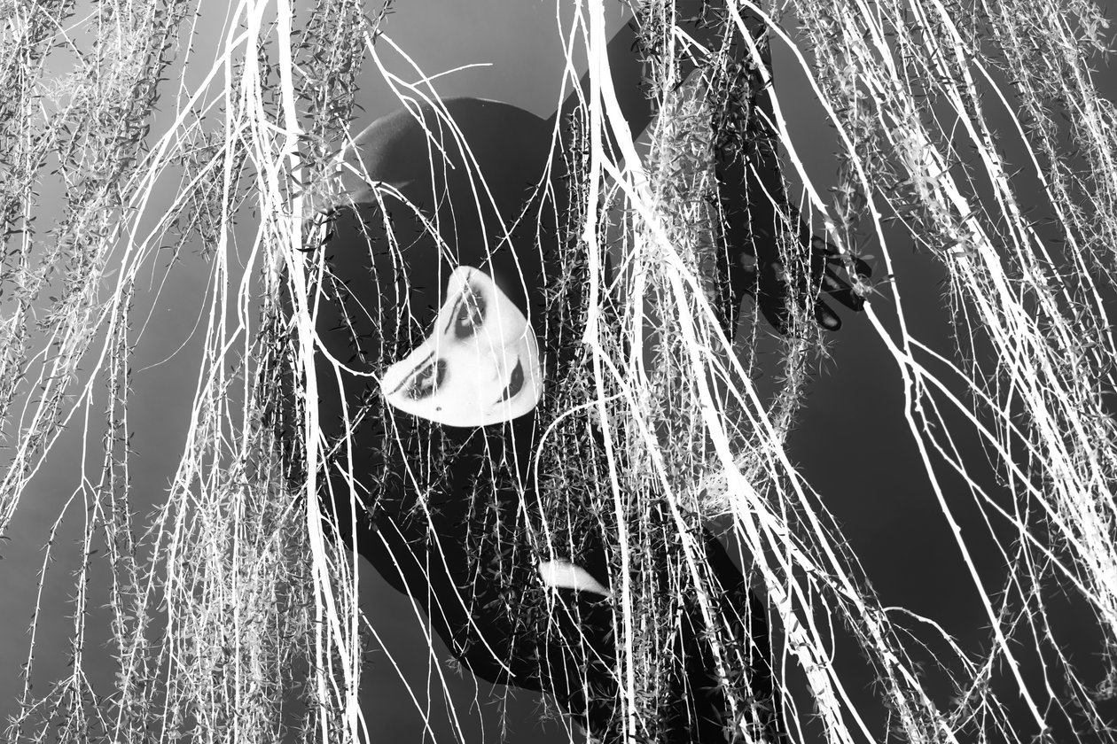 Ladra, 2023 (tecnica mista digitale) da Olivia Gozzano