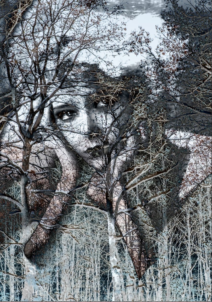 Ritratto invernale in negativo, 2021(digital mixed media) da Olivia Gozzano