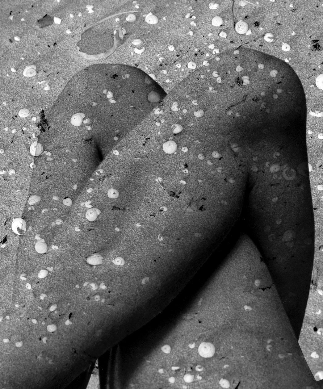 Gambe di conchiglia, 2019 (tecnica mista digitale) da Olivia Gozzano