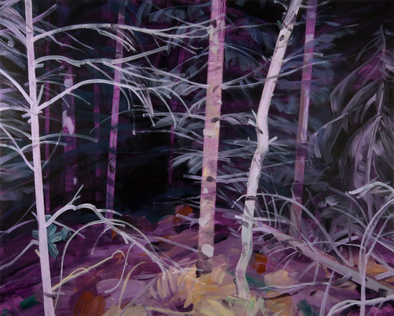 Foresta Nera 10, 2019 da Olivier Morel